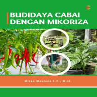 Budidaya Cabai dengan Mikoriza